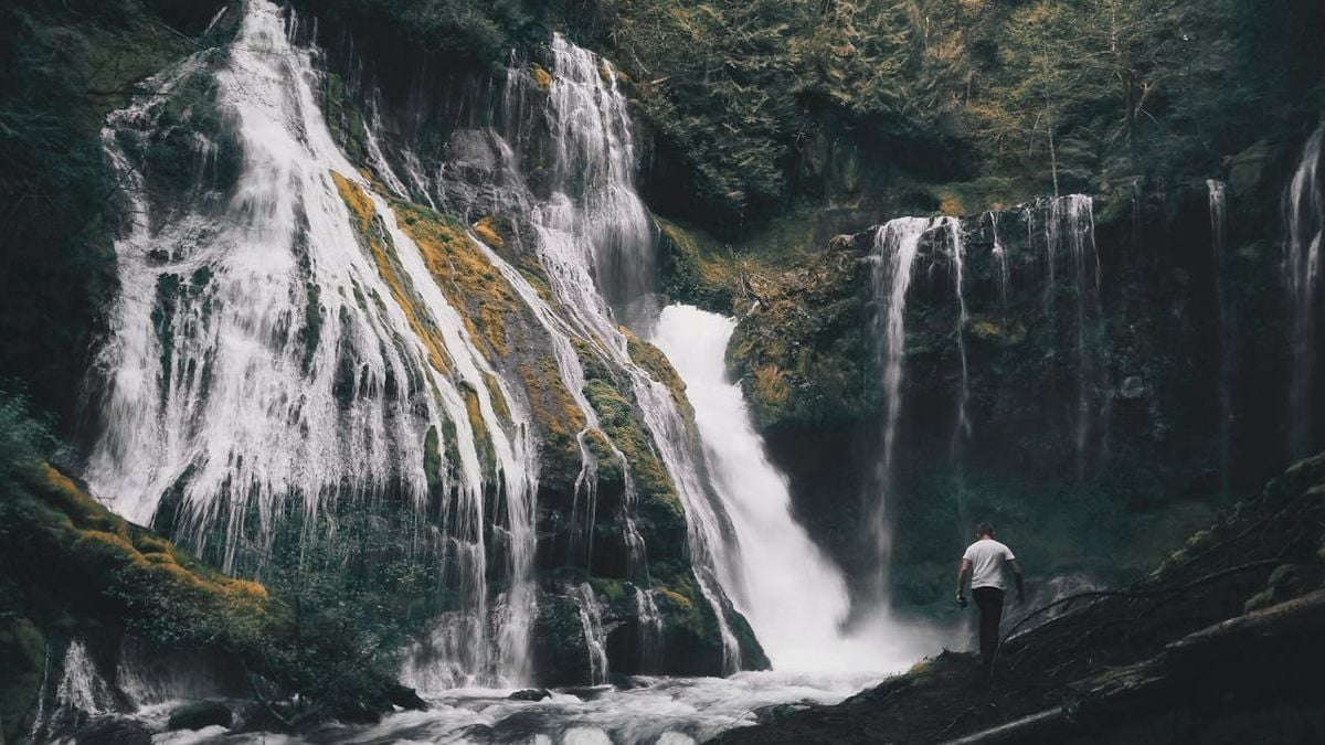 Misteri Air Terjun Tersembunyi di Cilacap: Rahasia Solo Traveler yang Tak Terungkap