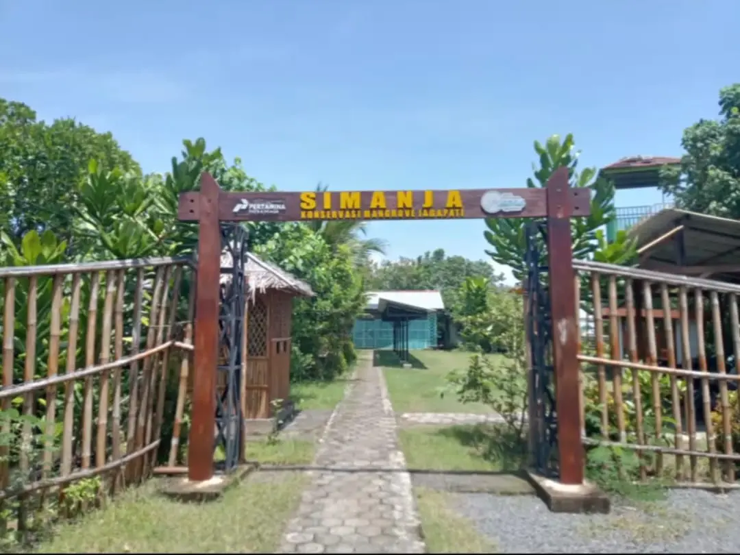 Mangrove Magic: Jelajahi Kehidupan Laut di Simanja